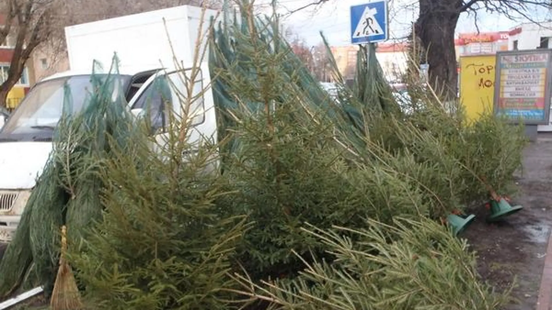 Два незаконных места торговли елками выявили в Раменском