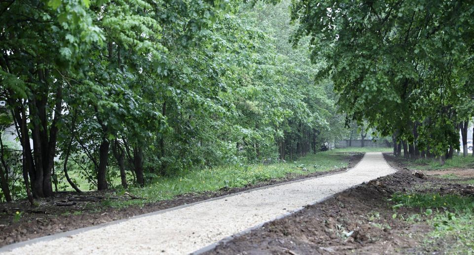 Еще 12 народных троп обустроят до конца июня в Солнечногорске