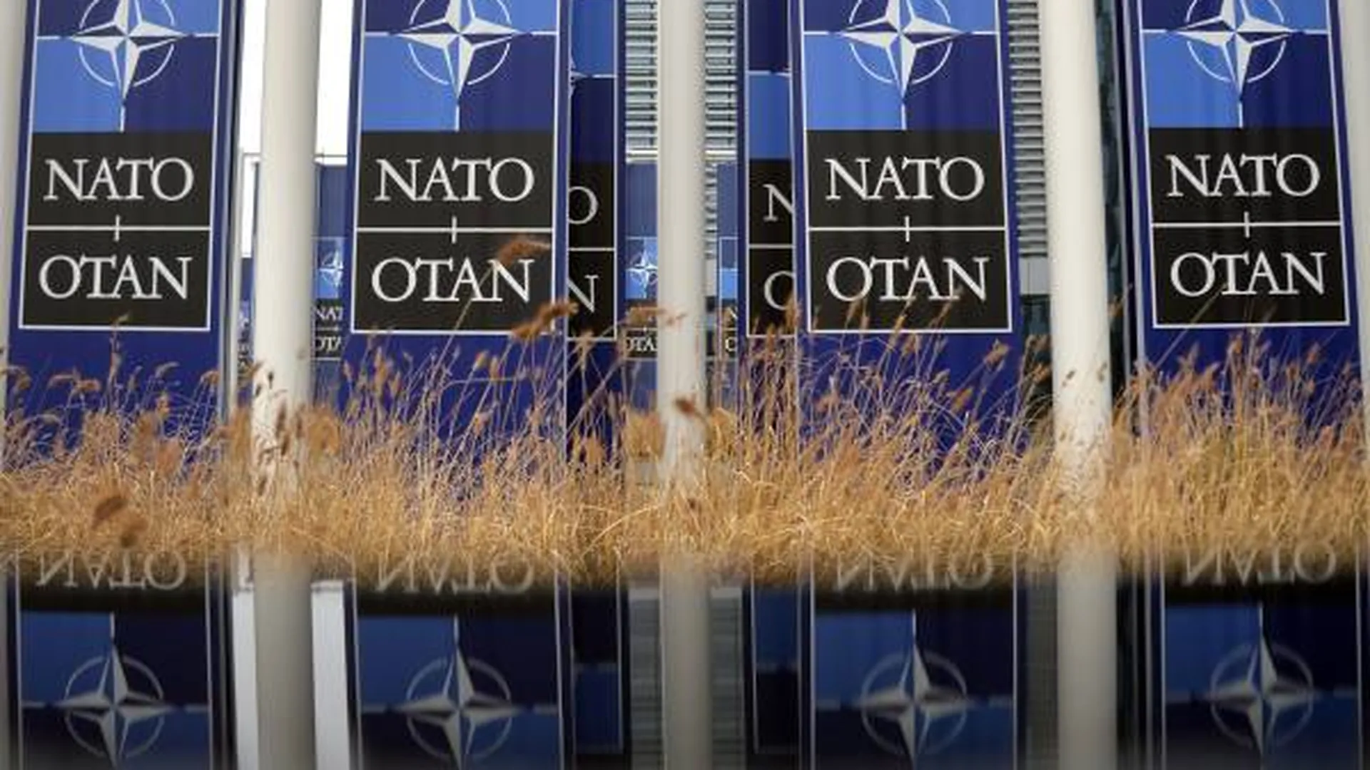НАТО продолжит водить Украину за нос