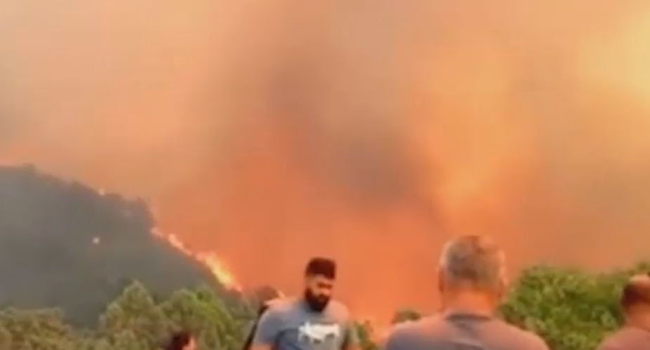 МЧС: площадь лесного пожара у хутора Дюрсо увеличилась до 20 гектаров