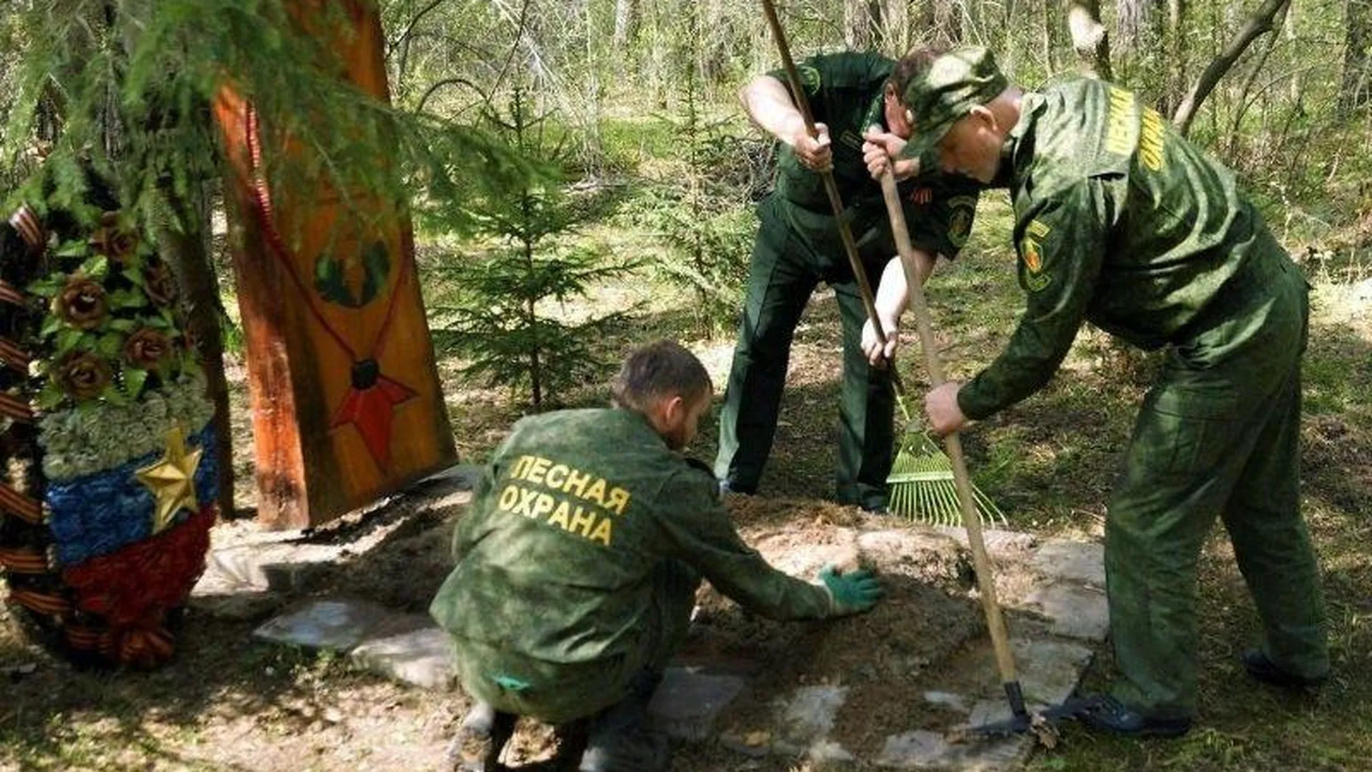 71 место боевой славы на землях лесного фонда приведено в порядок в Подмосковье в мае этого года