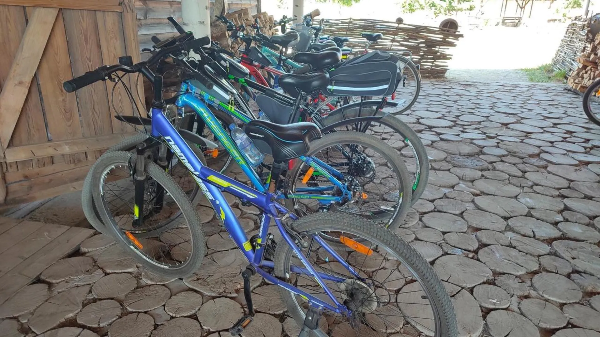 Жителям Подмосковья рассказали, как безопасно кататься на велосипеде