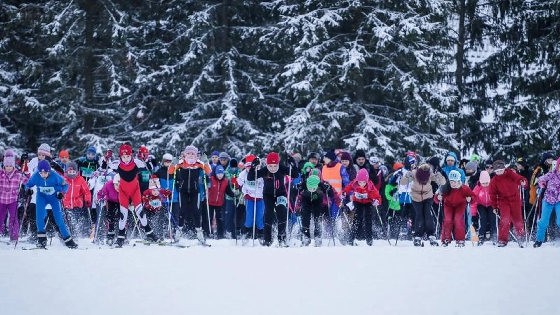 В Подмосковье стартовала онлайн-регистрация на «Новогоднюю лыжню»