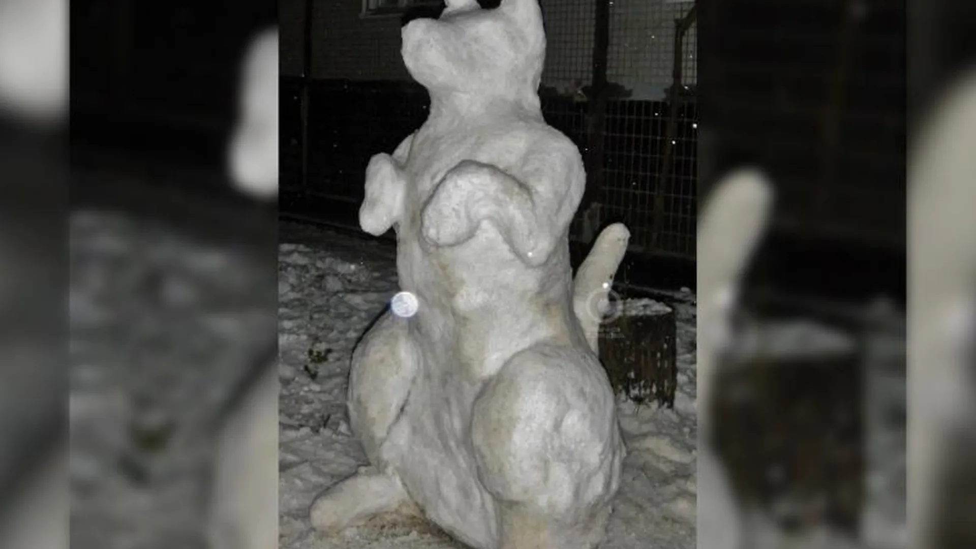 Огромного пса из снега слепили в Одинцове