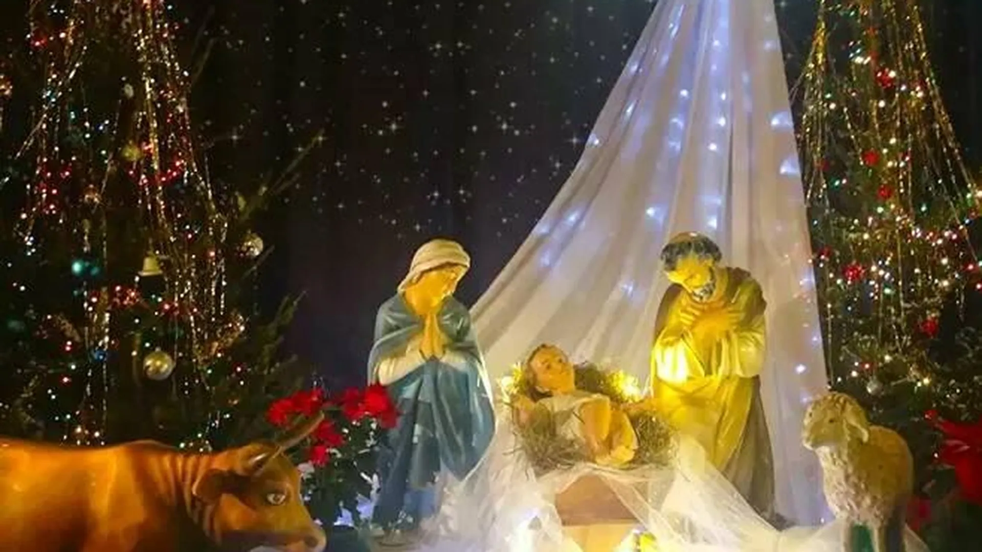 Российских католиков поздравили с Рождеством Христовым