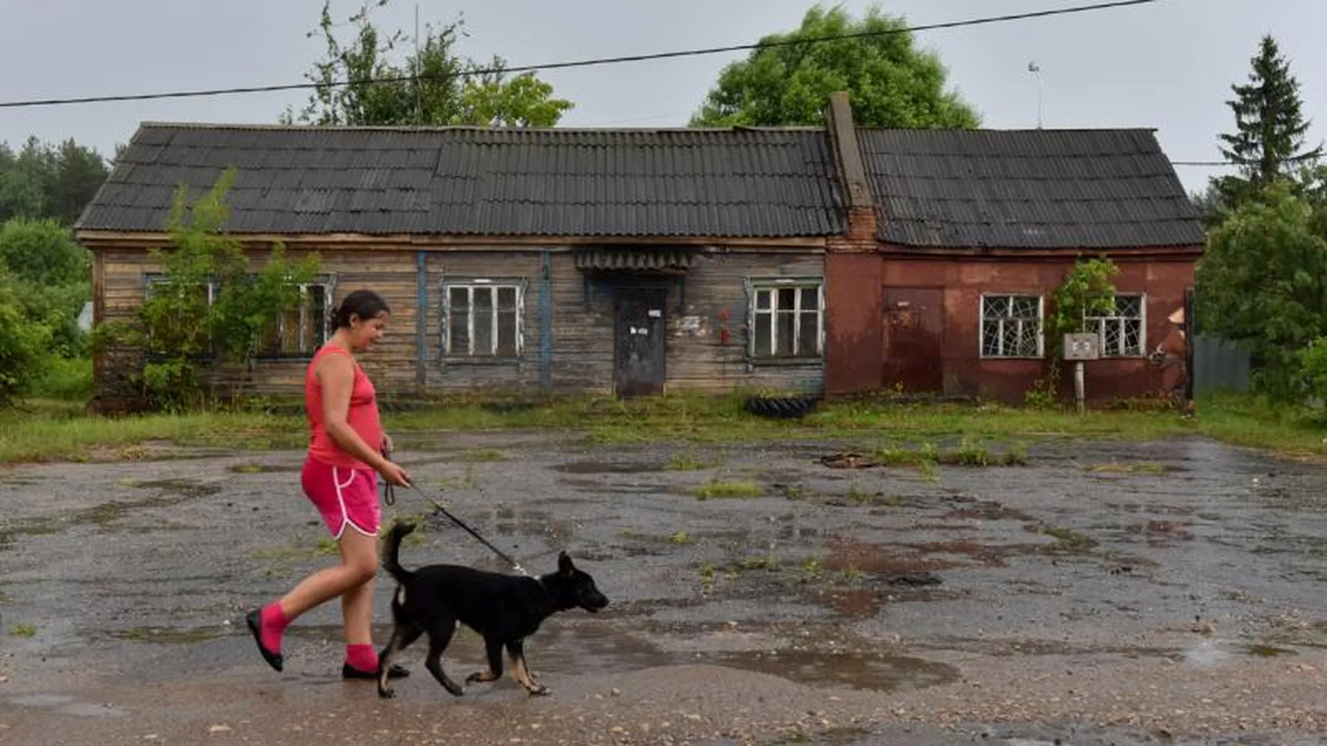 В поселке под Орехово-Зуевом пенсионеры выживают без воды и дорог
