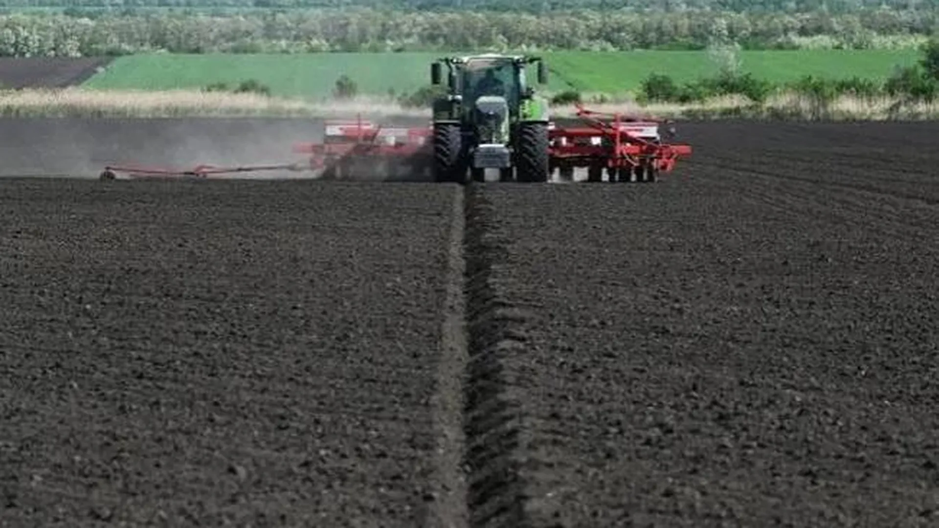 Режим ЧС из-за гибели посевов от заморозков ввели в Ростовской области