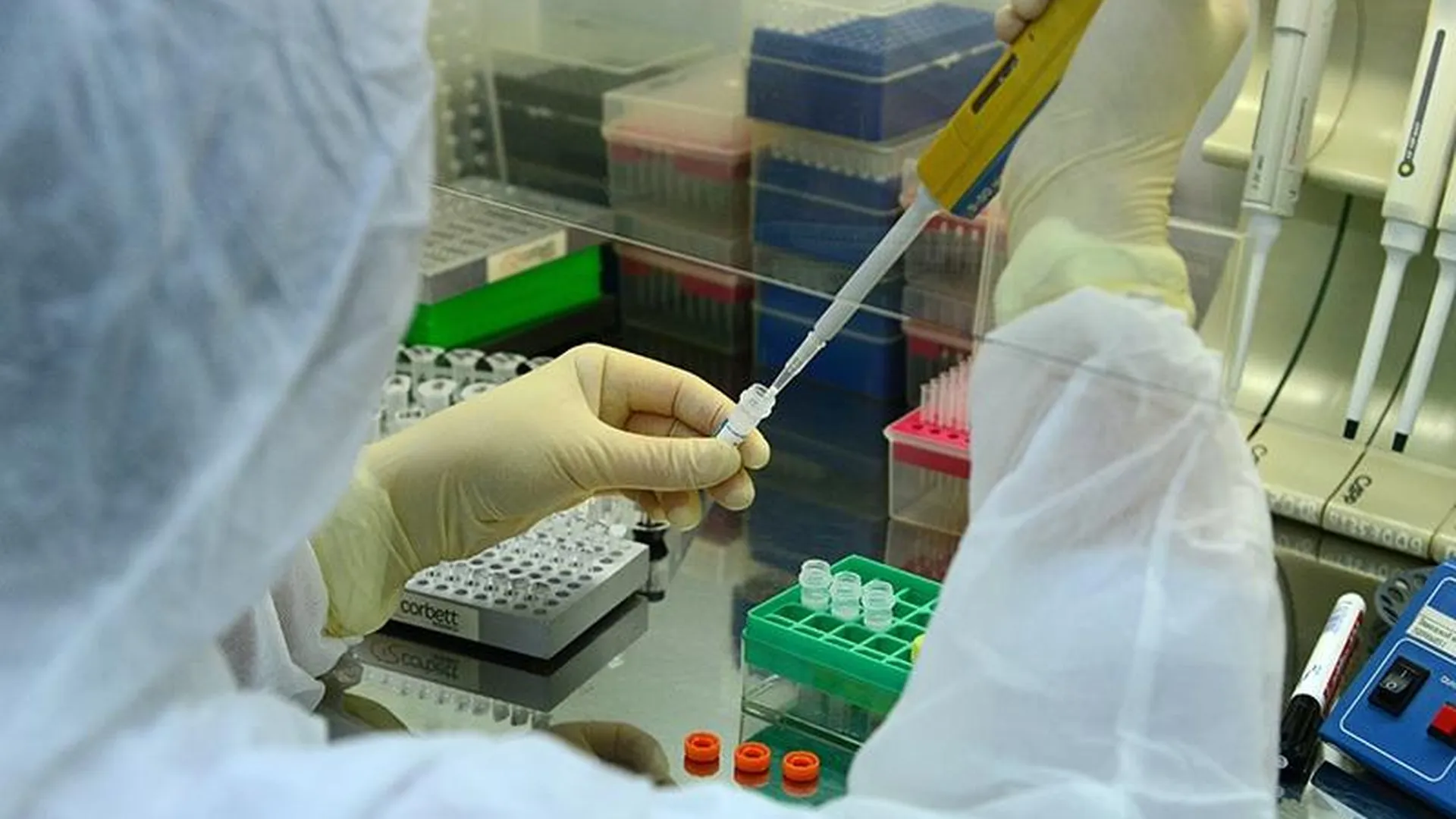 За два дня новые лаборатории в Подмосковье исследовали почти 80 биоматериалов на коронавирус 
